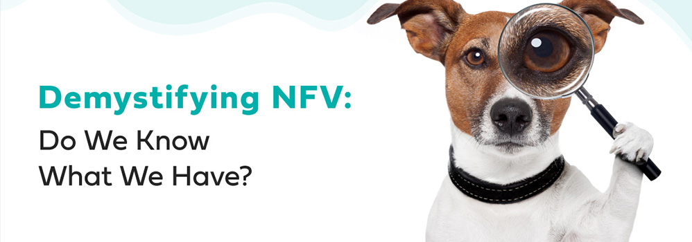 Desmistificando a NFV: sabemos o que temos?