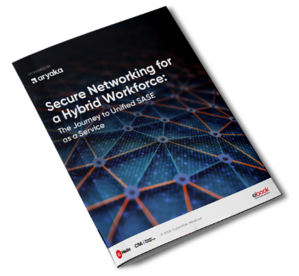 Secure Networking for a Hybrid Workforce